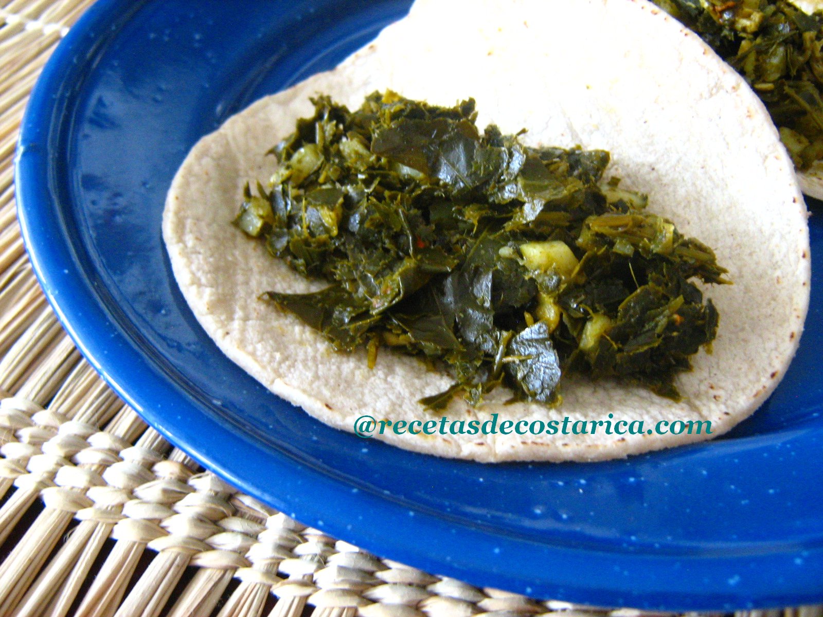 Cocina Costarricense zorrillo