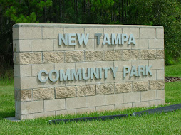 New Tampa