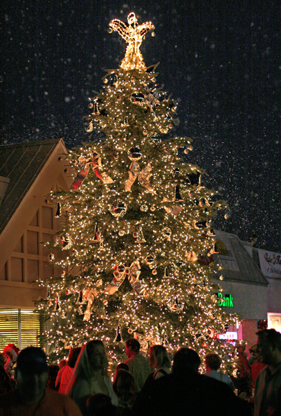 [Christmas+fest+2004.jpg]