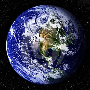 Torta Compleanno Per Cani Ingredienti Naturali - Dog Cake Artigianale | Gusto Maiale Canapa - Foto 7