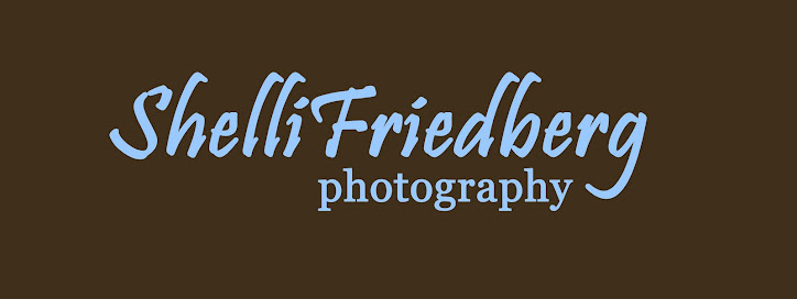 Shelli Friedberg Photography