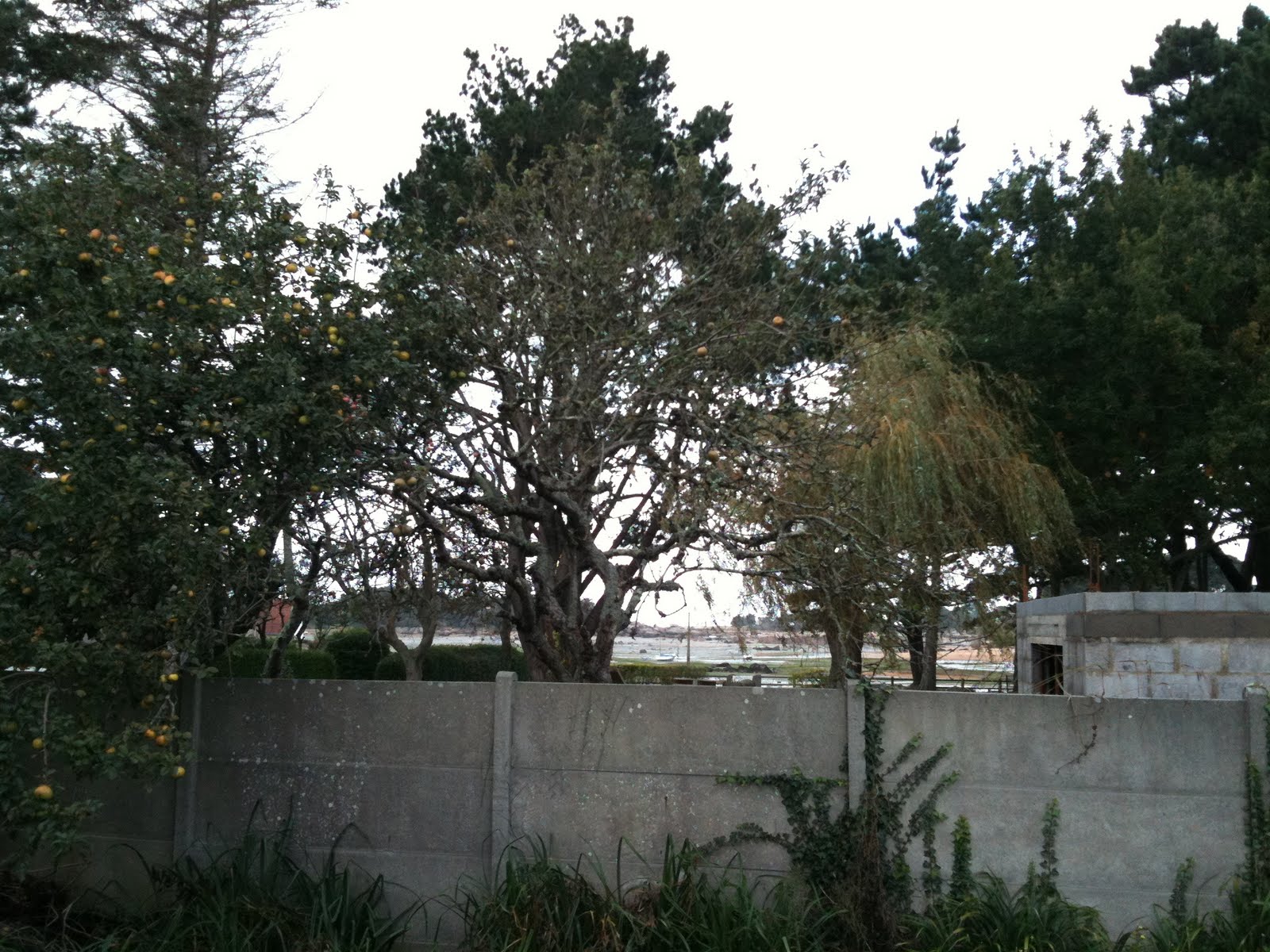 [IMG_0142.JPG]