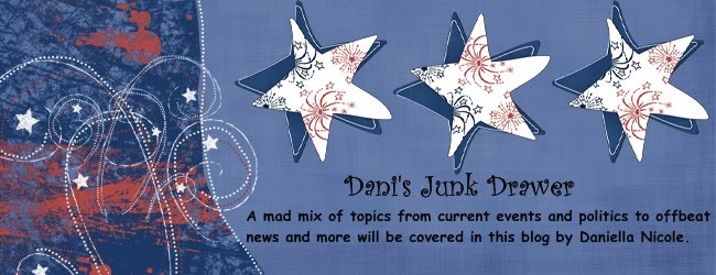 Dani's Junk Drawer: The Blog of Surprises