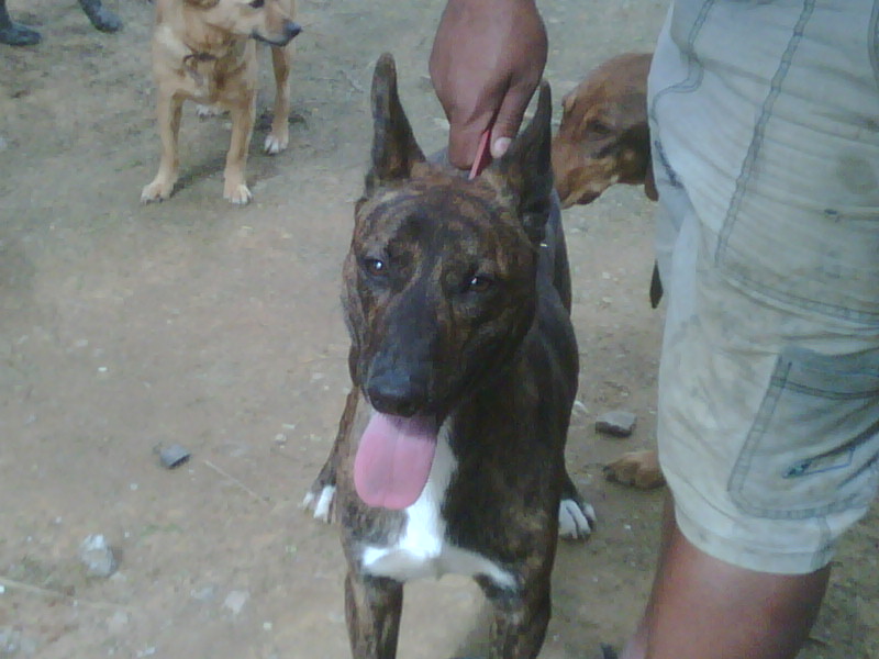 [IMG00134-20090718-1313.jpg]