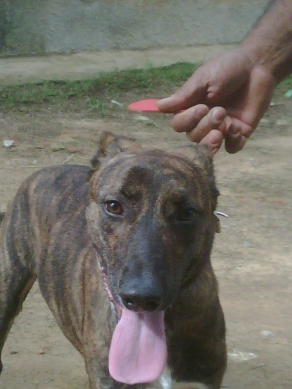 [IMG00133-20090718-1313.jpg]