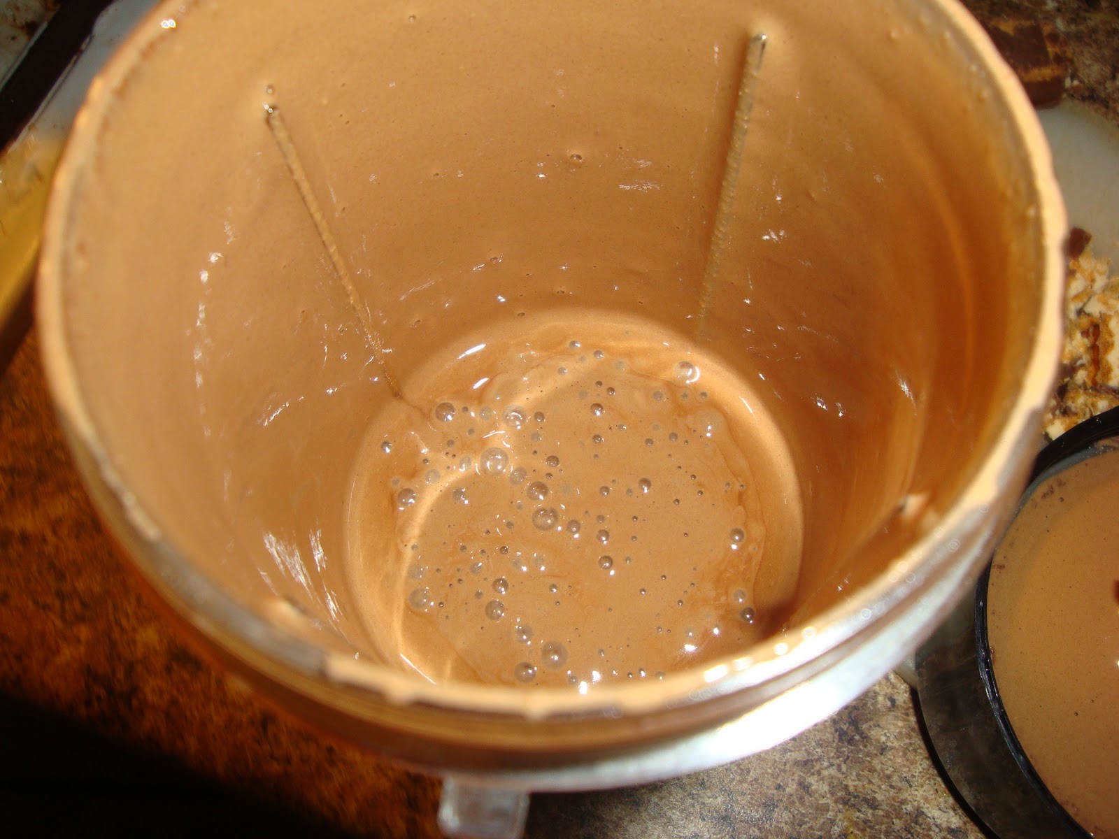 Nik's Protein "Blizzard" Bariatric Foodie