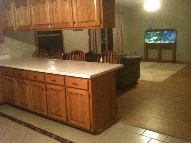 St. Elizabeth, MO Home for Sale