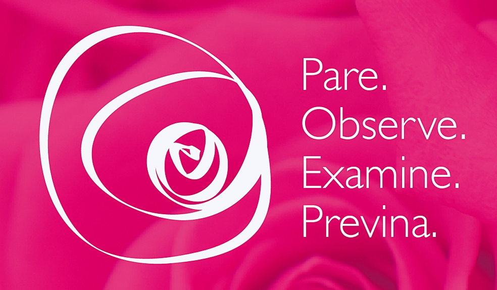 O amor de Cecília: Outubro Rosa - Cancêr de Mama