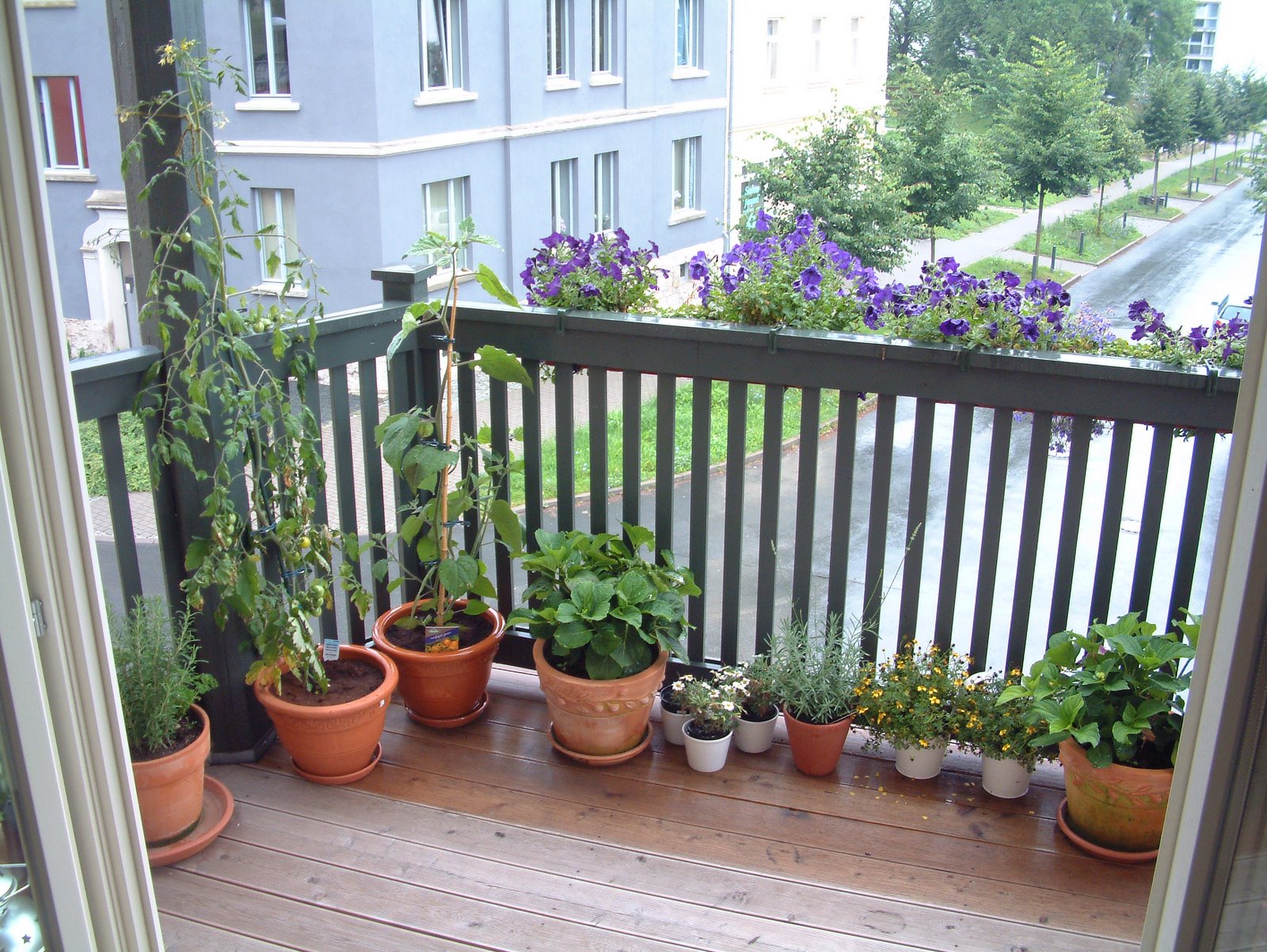 [Sommer+auf+Balkonien.jpg]