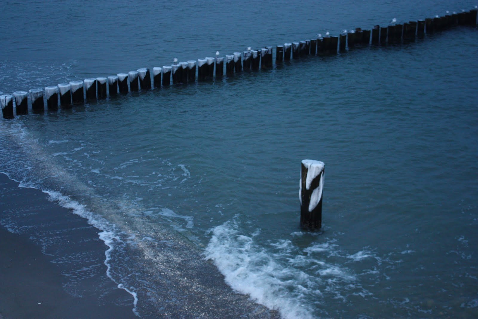 [11+und+12+++2009+130.jpg]