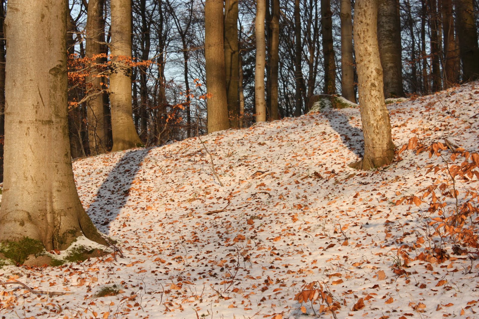 [Giessen+12.2009+195.jpg]