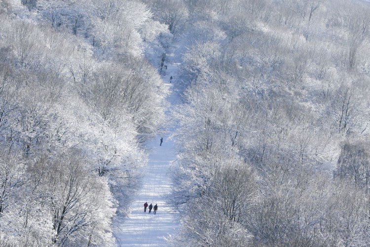 [Berlin+Tiergarten.jpg]