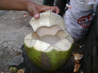 es dawegan kelapa muda