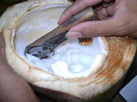 dawegan kelapa muda