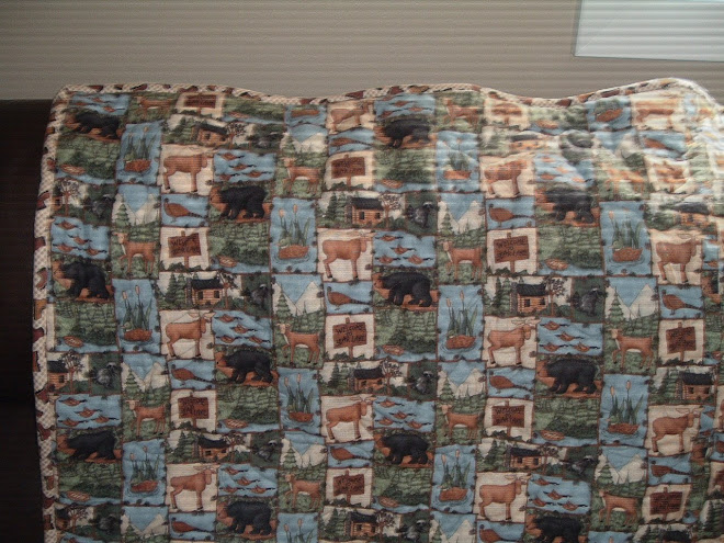 Moose and Black Bear