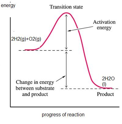 change energy diagram combustion profile enthalpy oxygen heat thermochemistry mole released reward sacrifice courage success