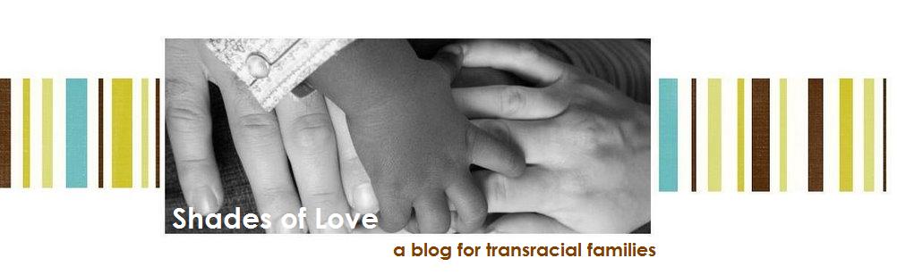 Transracial Adoption