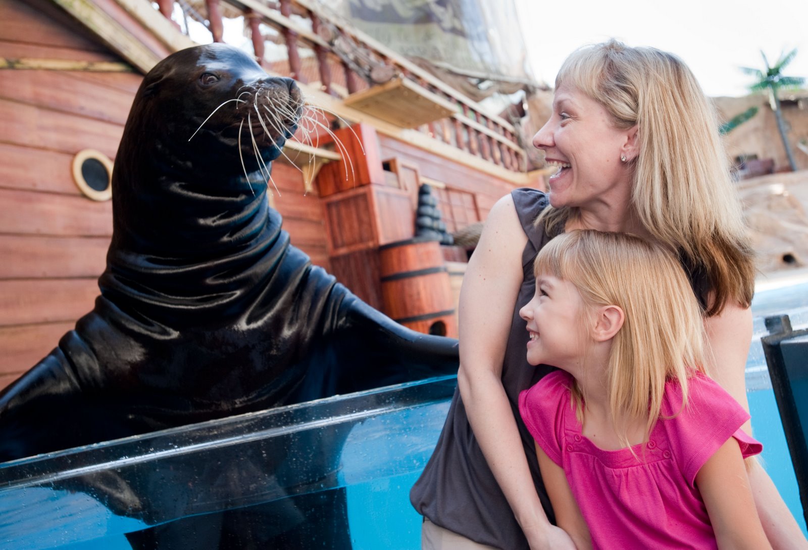[Animal+Shows+and+Photo+Experience+at+SeaWorld+Orlando+with+Sea+Lion.JPG]
