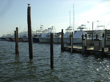 Lots O' Boats