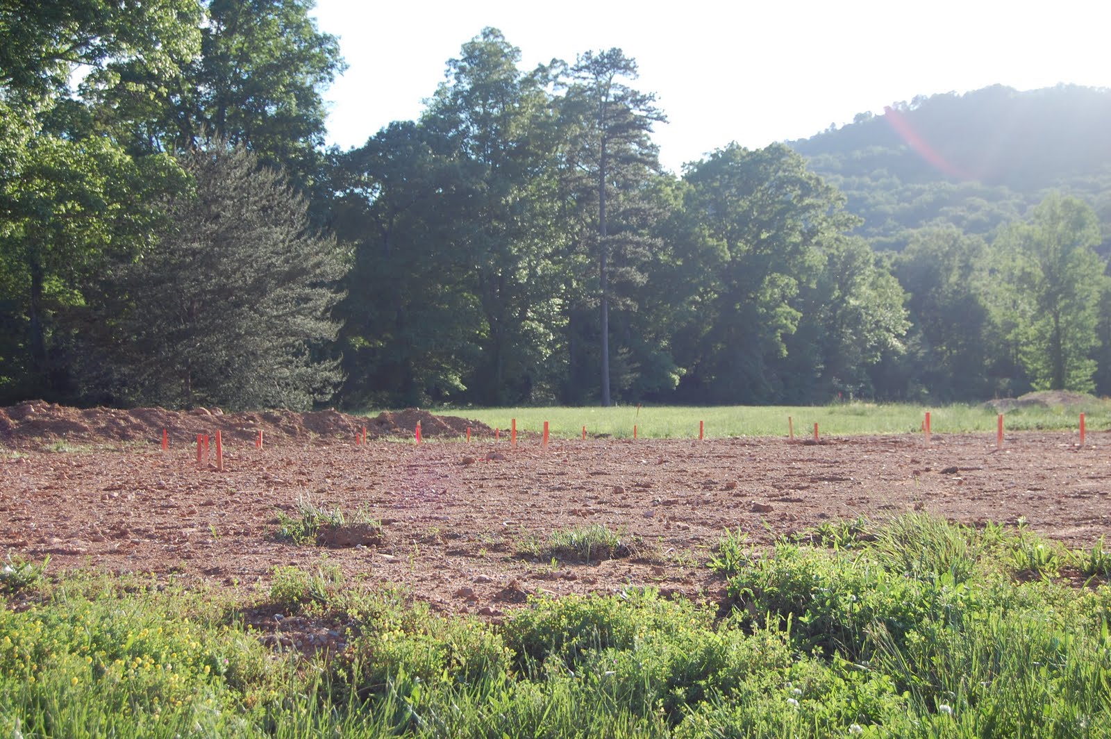 Home Building Project: Lot and House Stakes