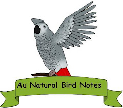 Au Natural Bird Notes