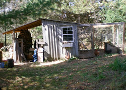 2009 october coop chickens woodshed removed pen built think ever left side south