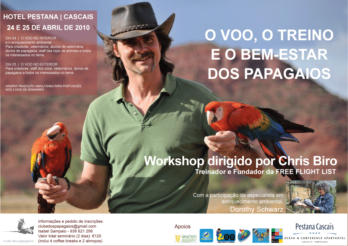 [cartaz_ao_baixo_PT_PESTANA.png]