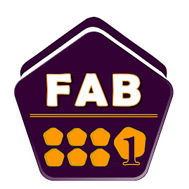 fab 8880 logo