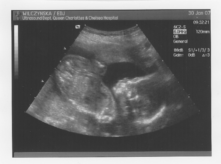 [scan2.jpg]