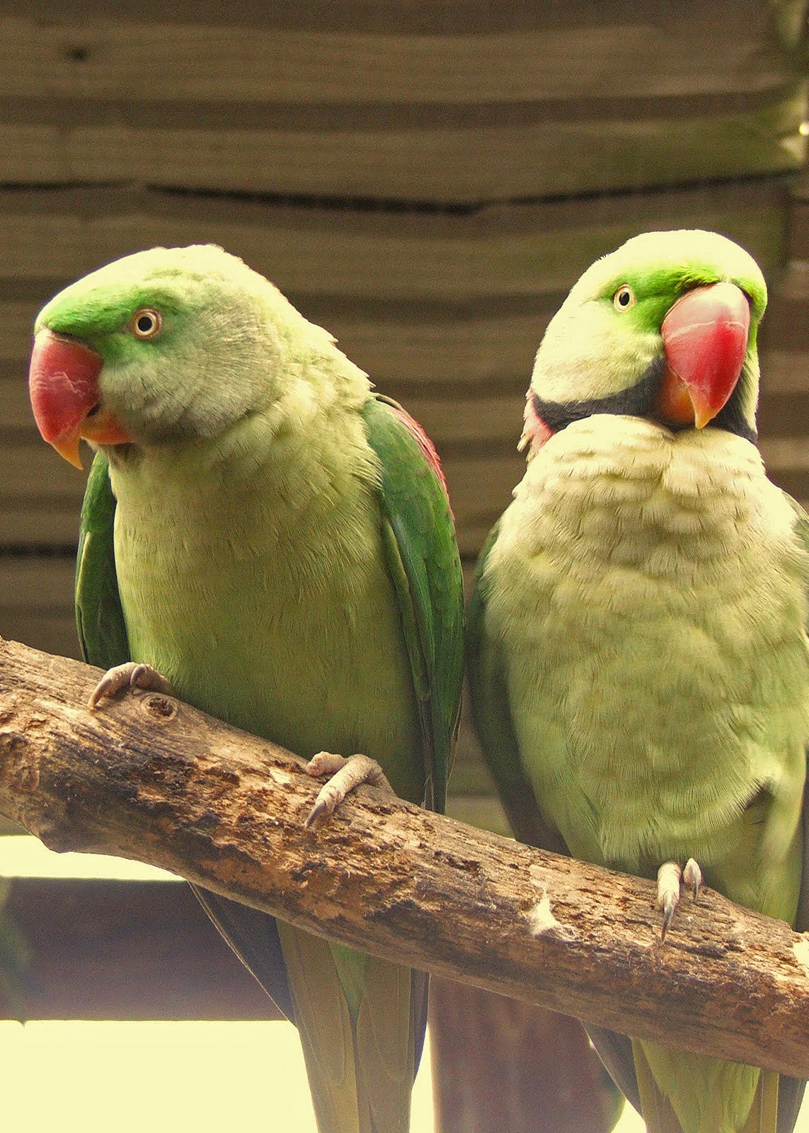 Karens 365 Photos 2009 and beyond!!!!!!!!!!! Walks in 2010 Walk 41