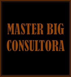 MASTER BIG CONSULTORA