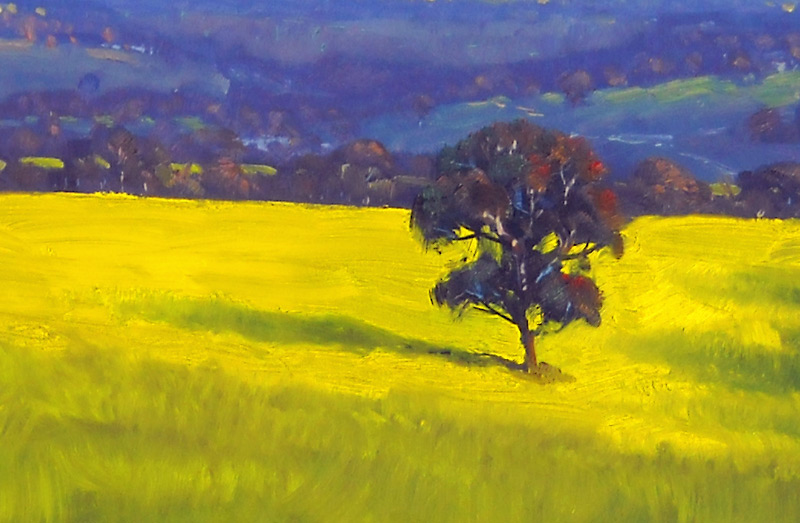 My Week in Art: Canola Shadows - finished oil painting