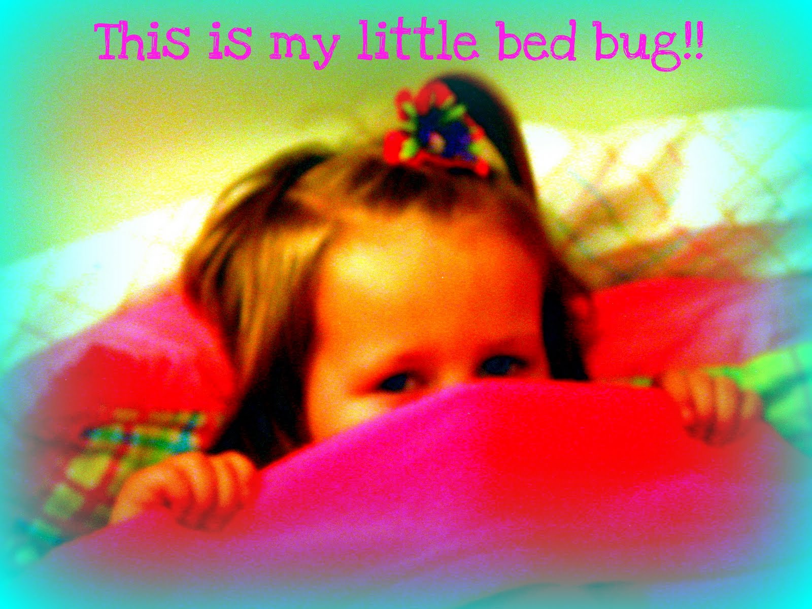 ORGANIZED R U How often do you wash your sheets???