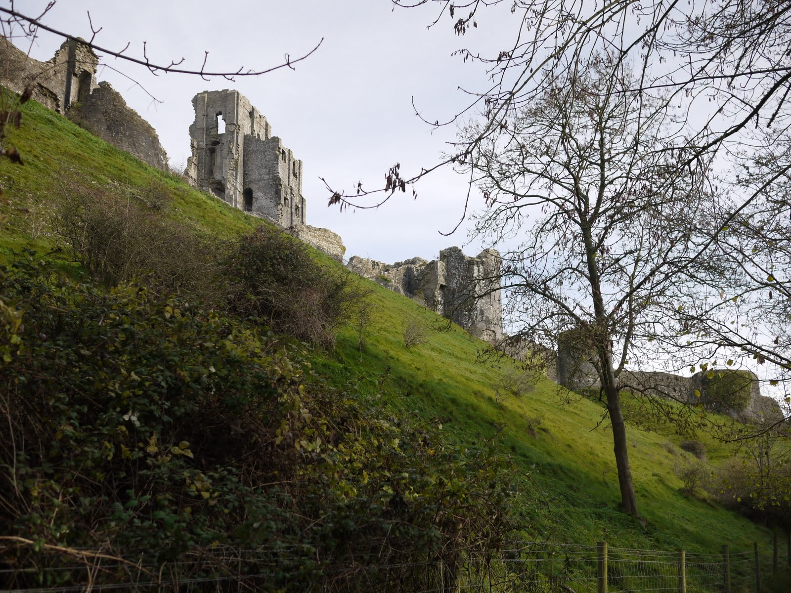 Walking in the country: Corfe Castle and the Purbeck Ridge