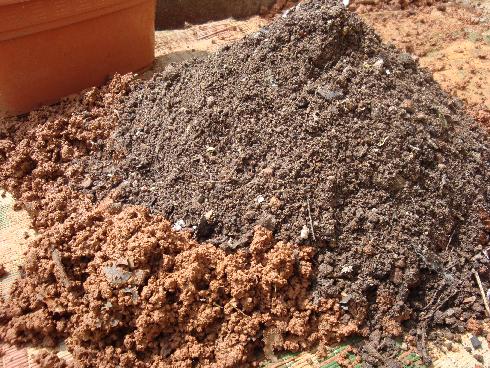 How to Prepare Soil for a Roof Garden 