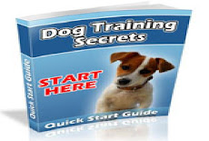 " QUICK START GUIDE"