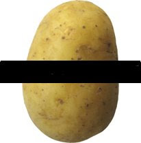 Questo blog è contrario alla censura delle patate.