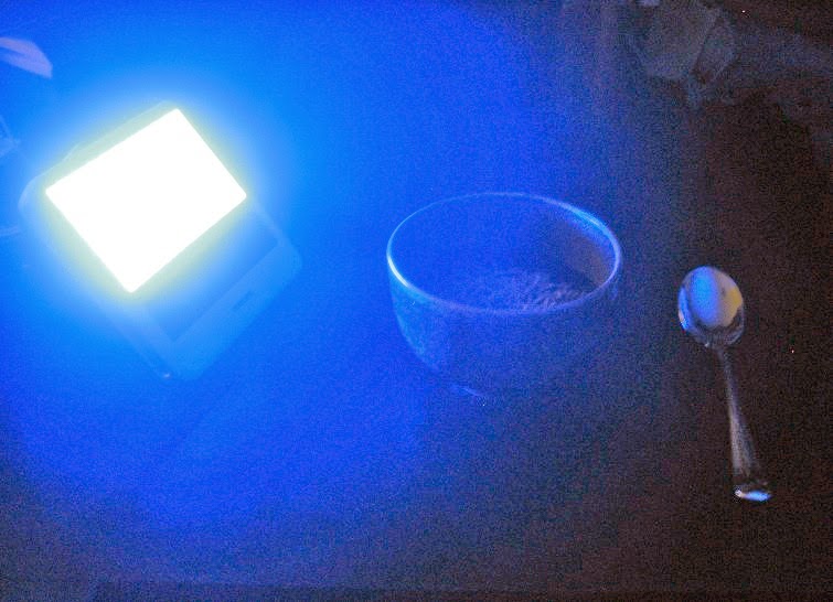 [2010-0222-mfs.JPG]