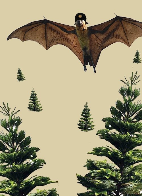 Proverbs for the New Elite