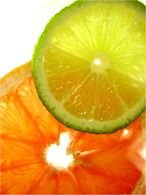 [Citrus_Grapefruit_by_Misuteru.jpg]