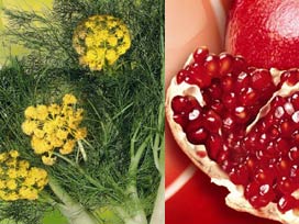 [Ä°BRAHÄ°M+SARAÃ OÄ LU.jpg]