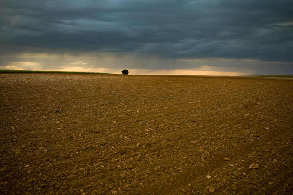 [Navia-C905VIL1003.jpg]