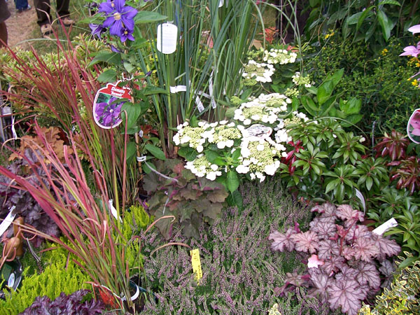 [Langenburg07+017.jpg]