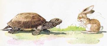 La tartaruga e la lepre, Esopo - dbookeasy.giuntiscuola.it