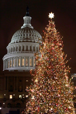 DC+Christmas+Tree