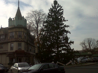 IMG00172 20101120 1254