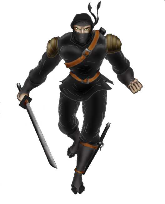 Ninja Ninja
