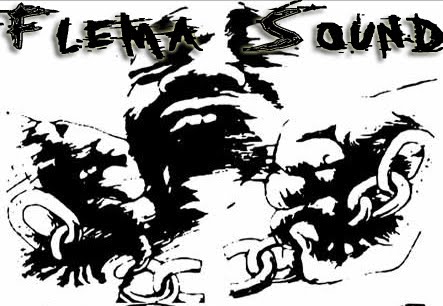 Flema Sound d.i.y