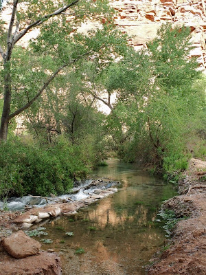 Havasu Creek Havasupi reservation Arizona