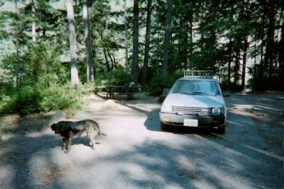 Panther Creek campground Six Rivers National Forest Oregon